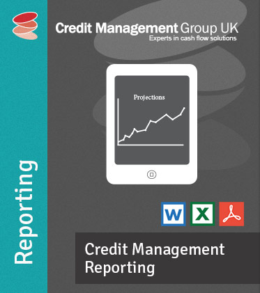 Credit Management Reporting