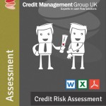 Credit Risk Assessment