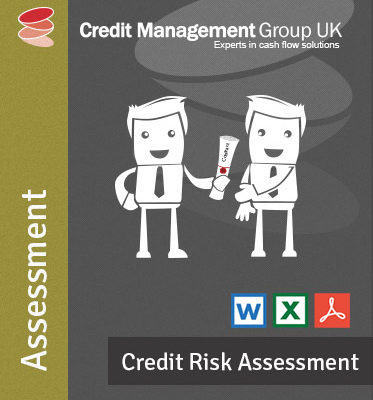 Credit Risk Assessment Process Tool