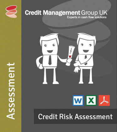 Credit Risk Assessment Process Tool